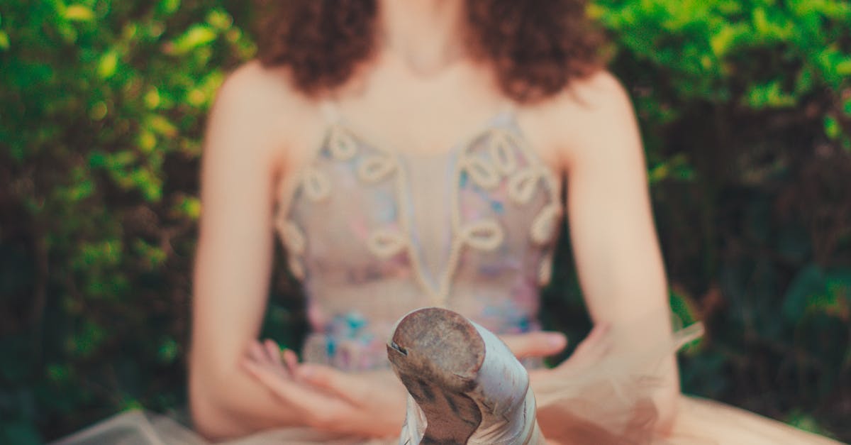 Pathways to Professionalism in Pre-Professional Ballet Training