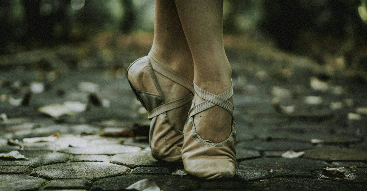 Surveying Audience Satisfaction: Metrics from Recent Ballet Brisbane Events